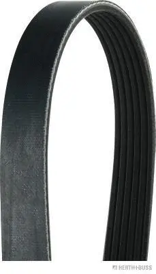 V-Ribbed Belt (J1061795)
