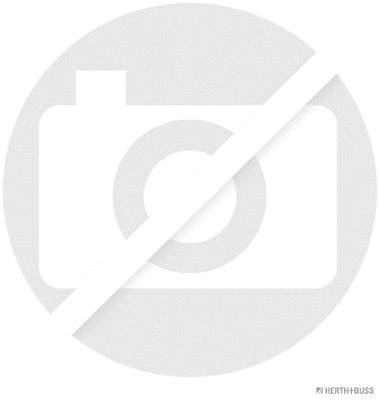 Gasket, cylinder head (J1253084)