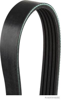 V-Ribbed Belt (J1051398)