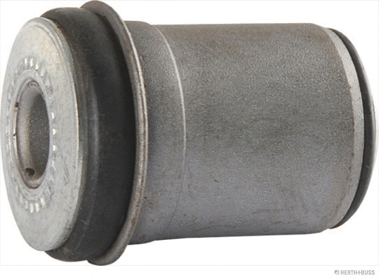 Mounting, control/trailing arm (J4202510)