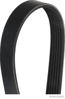 V-Ribbed Belt (J1060905)