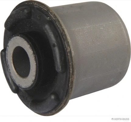 Mounting, control/trailing arm (J4200321)