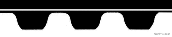 Timing Belt (J1125032)
