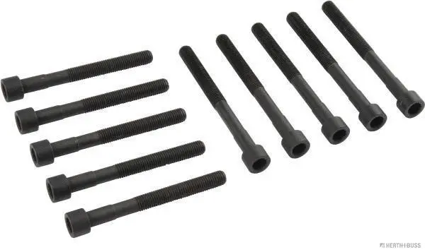 Cylinder Head Bolt Set (J1282024)