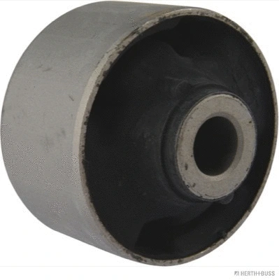Mounting, control/trailing arm (J4200313)