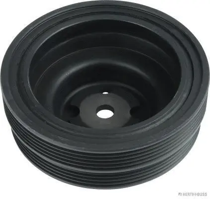 Belt Pulley, crankshaft (J1095003)