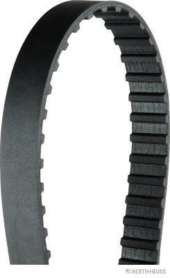Timing Belt (J1128021)