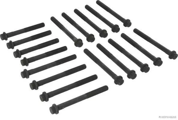 Cylinder Head Bolt Set (J1282029)
