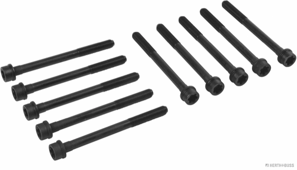 Cylinder Head Bolt Set (J1288011)