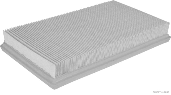 Air Filter (J1328027)