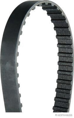 Timing Belt (J1121043)