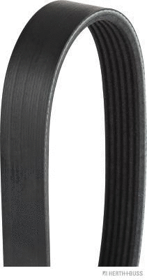 V-Ribbed Belt (J1062270)
