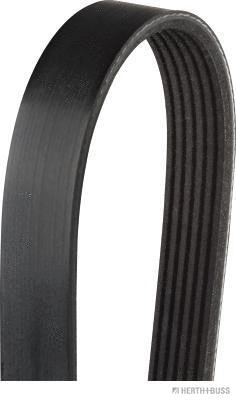 V-Ribbed Belt (J1062196)