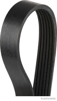 V-Ribbed Belt (J1061580)