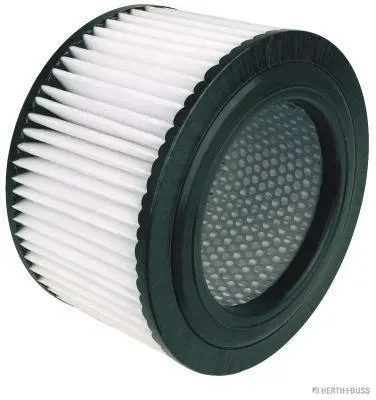 Air Filter (J1320312)