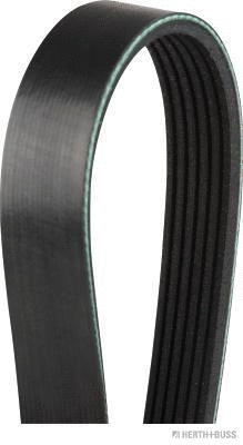 V-Ribbed Belt (J1061715)