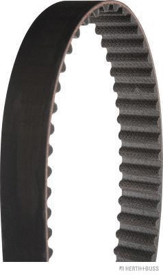 Timing Belt (J1128023)