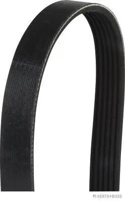 V-Ribbed Belt (J1061238)