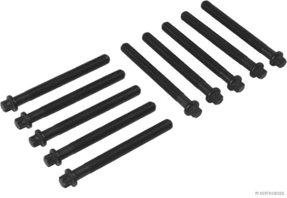 Cylinder Head Bolt Set (J1288014)