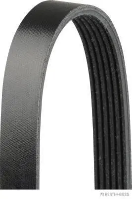 V-Ribbed Belt (J1062500)