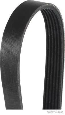 V-Ribbed Belt (J1061965)