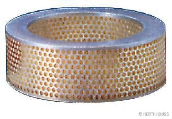 Air Filter (J1325039)