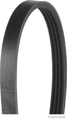 V-Ribbed Belt (J1041155)