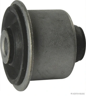 Mounting, control/trailing arm (J4223100)