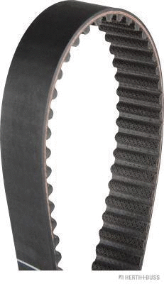 Timing Belt (J1128020)
