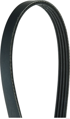 V-Ribbed Belt (J1040951)