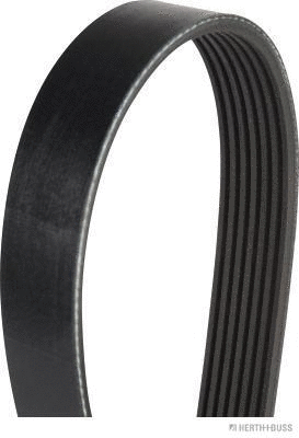 V-Ribbed Belt (J1071020)
