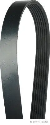 V-Ribbed Belt (J1072113)