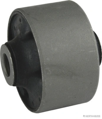 Mounting, control/trailing arm (J4200510)