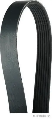 V-Ribbed Belt (J1070810)