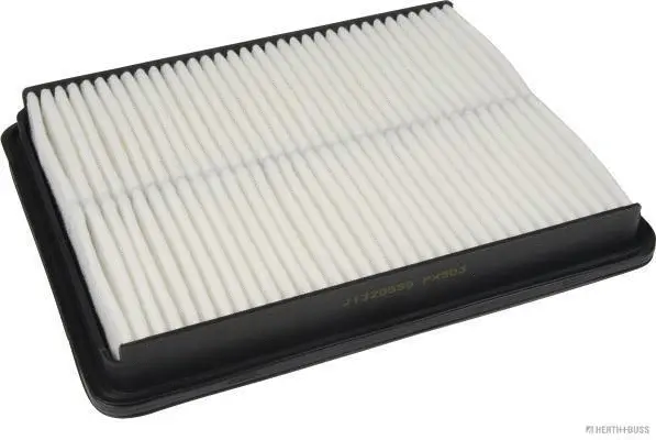 Air Filter (J1320555)