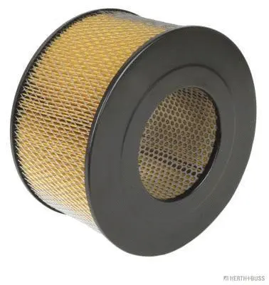 Air Filter (J1322071)