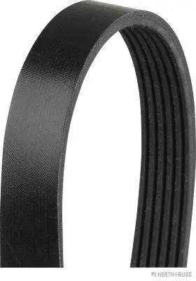 V-Ribbed Belt (J1062415)