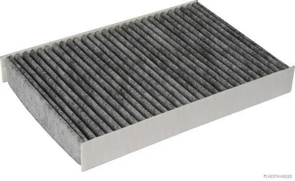 Filter, cabin air (J1341034)
