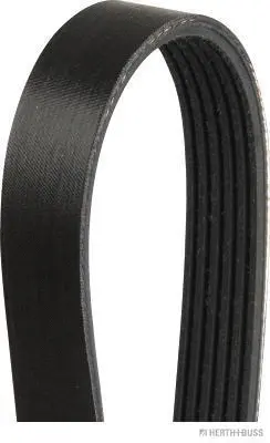 V-Ribbed Belt (J1061390)