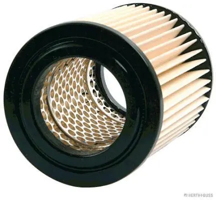 Air Filter (J1324052)