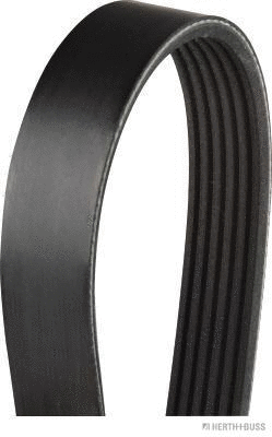 V-Ribbed Belt (J1061195)
