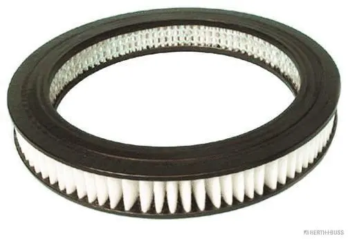 Air Filter (J1322007)