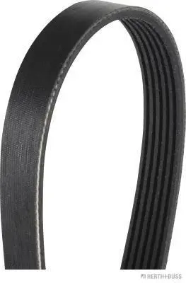 V-Ribbed Belt (J1061210)