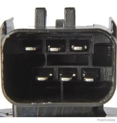 Fuel Pump (J1600906)