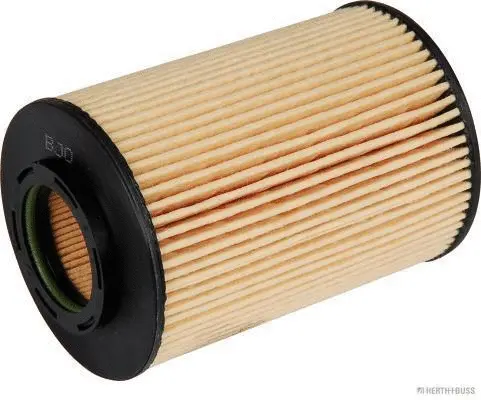 Oil Filter (J1310506)