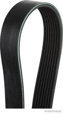V-Ribbed Belt (J1081218)