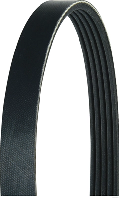 V-Ribbed Belt (J1050866)