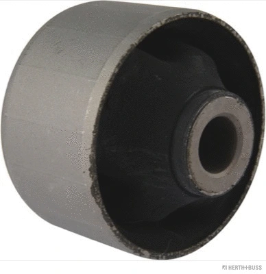 Mounting, control/trailing arm (J4200518)