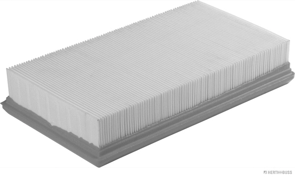 Air Filter (J1328039)