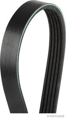 V-Ribbed Belt (J1051341)